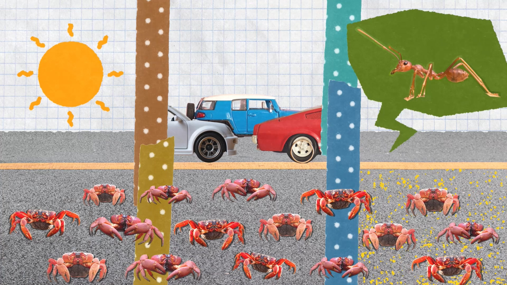 Collage